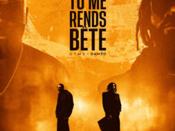 Gims feat Damso – Tu me rends bête (Lyrics)