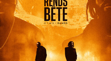 Gims feat Damso – Tu me rends bête (Lyrics)