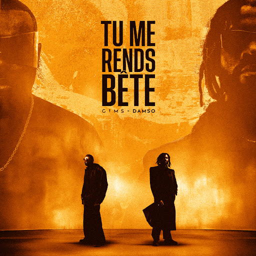 Gims feat Damso – Tu me rends bête (Lyrics)