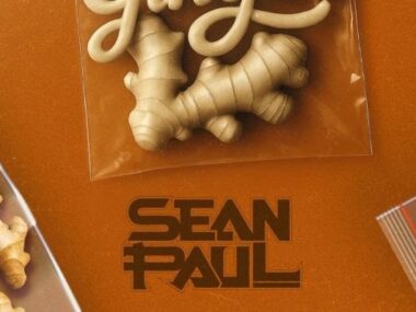 Sean Paul – Ginger (Lyrics)