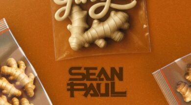 Sean Paul – Ginger (Lyrics)