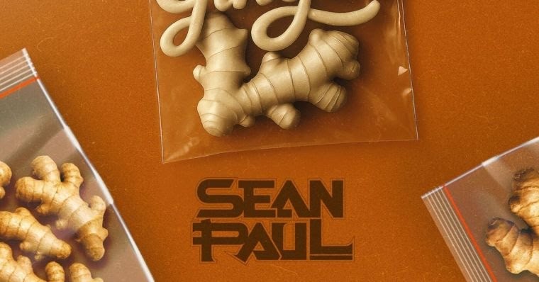 Sean Paul – Ginger (Lyrics)