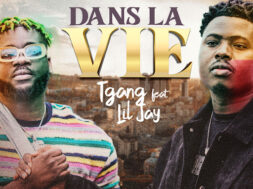 TGang feat Lil Jay Bingerack – Dans la vie (Lyrics)