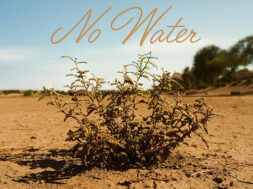 Libianca – No Water (Lyrics)