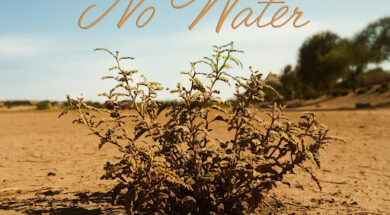 Libianca – No Water (Lyrics)