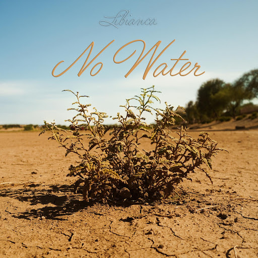 Libianca – No Water (Lyrics)