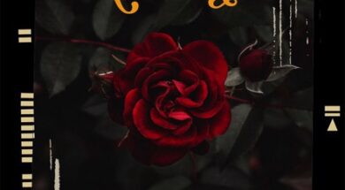 Madano – Les Choses de l’Amour (Lyrics)