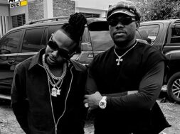 First King plus élancé que Fanicko