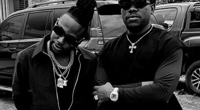 First King plus élancé que Fanicko