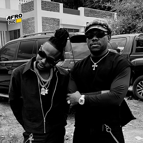 First King plus élancé que Fanicko ?