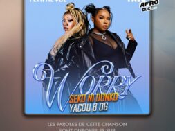 Yemi Alade feat Fave – Worry (Lyrics)
