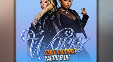 Yemi Alade feat Fave – Worry (Lyrics)