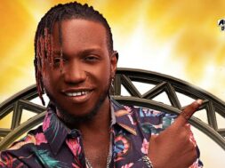 Origines Light Tour : Fanicko poursuit avec succès sa tournée nationale !