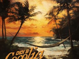 Didi B – Cocolia (Lyrics)
