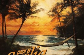 Didi B – Cocolia (Lyrics)