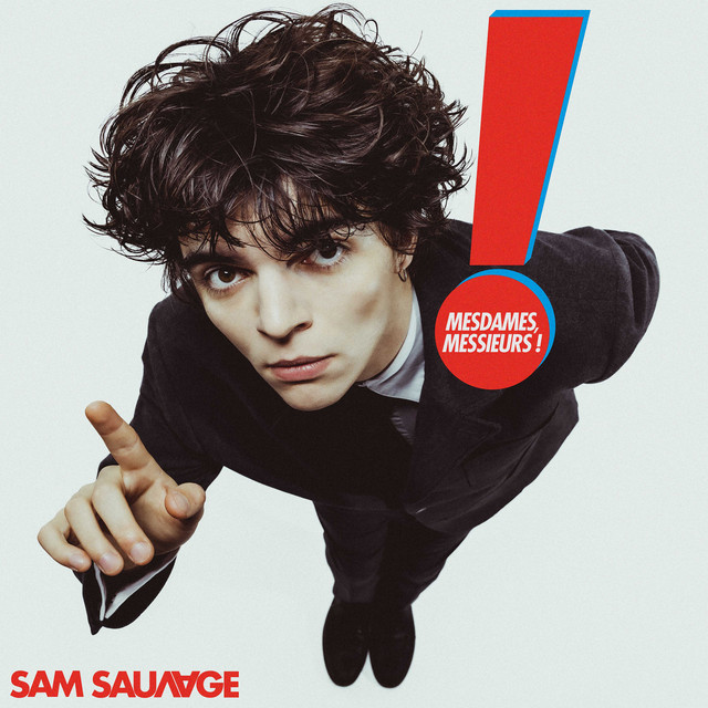 Sam Sauvage – Je Ne T’Aime Plus (Paroles/Lyrics)
