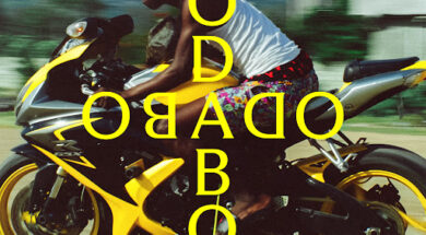 255 – CAN&rsquo;T FAKE THIS (Lyrics)