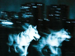 Djadja & Dinaz – Les bases (Lyrics)