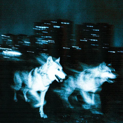 Djadja & Dinaz – Les bases (Lyrics)