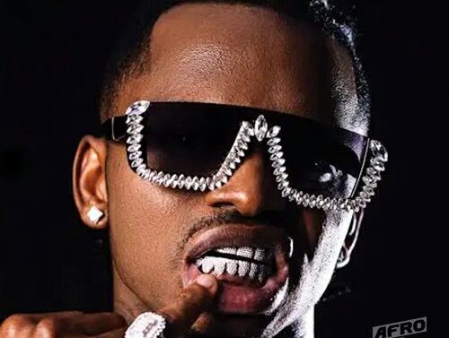 Biographie de Diamond Platnumz : parcours, carrière et succès de la star tanzanienne