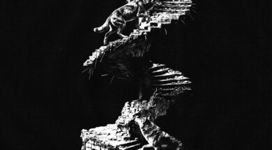 Djadja & Dinaz – Brique par brique (Lyrics)