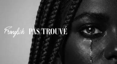 Franglish – Pas trouvé (Lyrics)