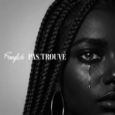 Franglish – Pas trouvé (Lyrics)