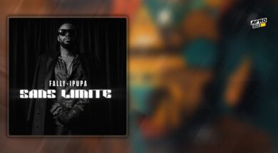 Fally Ipupa – Sans limite (Lyrics & Traduction)‎