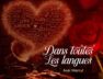 Axel Merryl – Dans toutes les langues (Lyrics + English Translation + Signification)