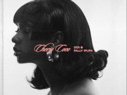 Didi B ft Fally Ipupa – Chérie Coco (Lyrics + Translation)