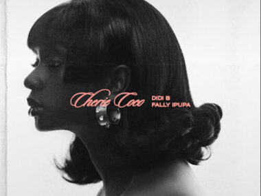 Didi B ft Fally Ipupa – Chérie Coco (Lyrics + Translation)