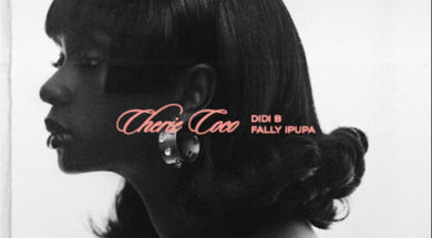 Didi B ft Fally Ipupa – Chérie Coco (Lyrics + Translation)