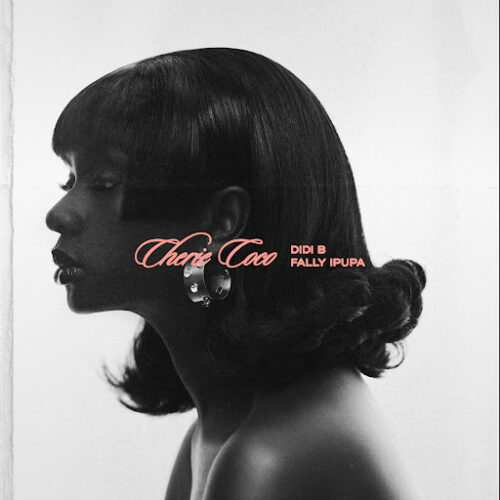 Didi B ft Fally Ipupa – Chérie Coco (Lyrics + Translation)