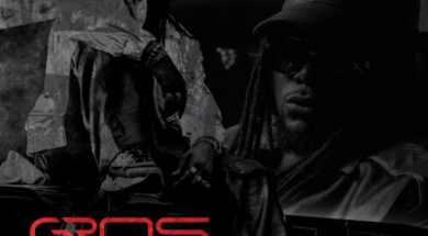 Tenor – Gros Nerfs (Lyrics + English Translation)