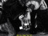 Shallipopi – Allergies (Lyrics)