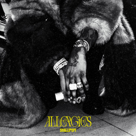 Shallipopi – Allergies (Lyrics)