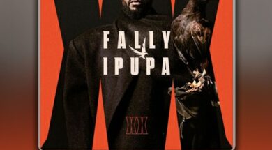 Fally Ipupa – Kitamata (Lyrics & Traduction)