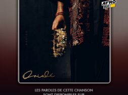 Davido ft. Black Sherif – Amazing Grace (Lyrics & Traduction)