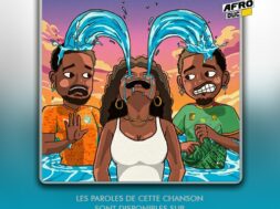 Tayc ft. Didi B – Salo (Lyrics Paroles)