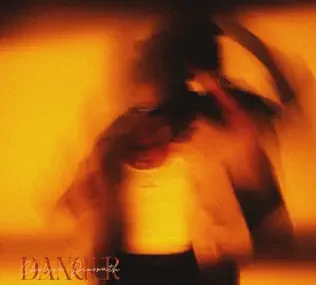 Chelsea Dinorath – Danger (Lyrics)