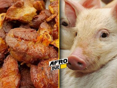 Consommation de la viande de porc : les révélations effrayantes d’un docteur !