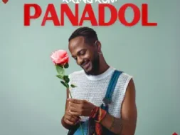 Kking Kum – PANADOL Lyrics