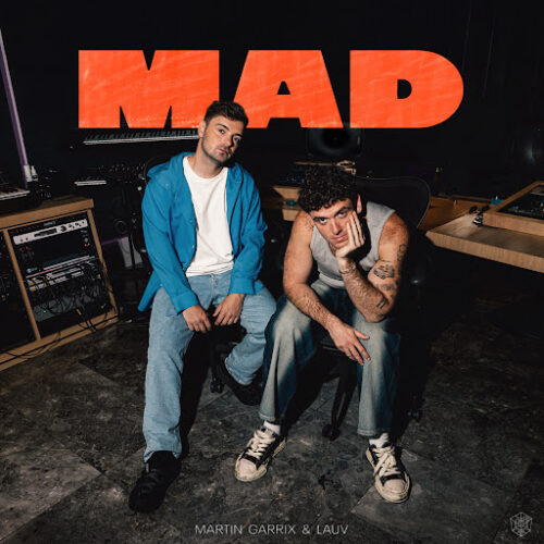 Martin Garrix feat Lauv – MAD Lyrics