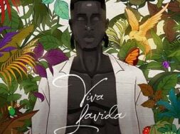 Joeboy – Abena (Lyrics)