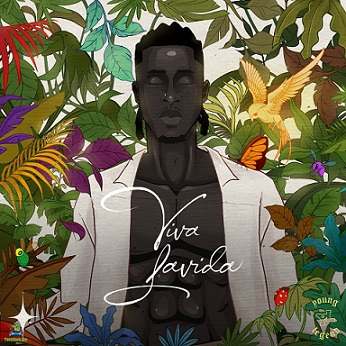 Joeboy – Abena (Lyrics)