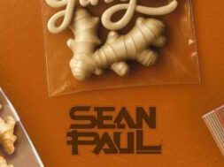 Sean Paul – Ginger (Lyrics)