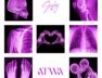 Jeady Jay – ATWA (Lyrics & Clip Officiel)