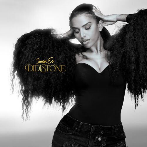 Imen Es – DidiStone (Lyrics + English Translation)
