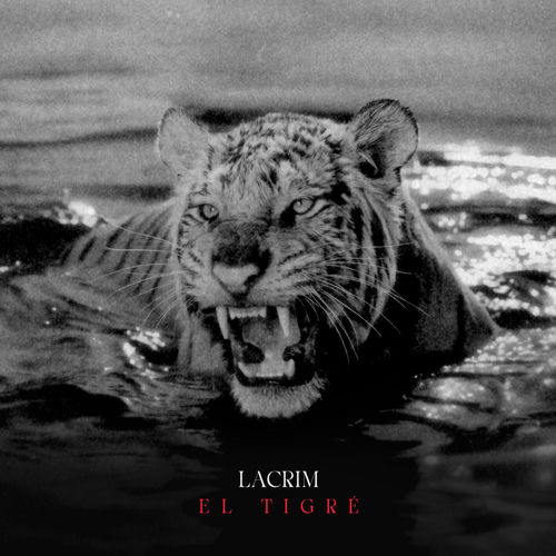 Lacrim – El tigre (Lyrics + English translation + Signification)