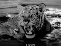 Lacrim ft Noti – Sao Paulo (Lyrics + Translation)